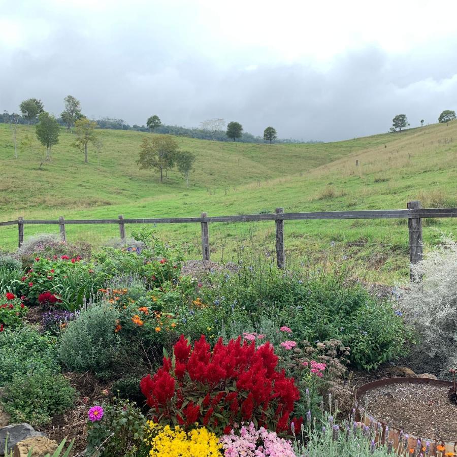 Country Mile Escape Guest House Canungra Exterior photo