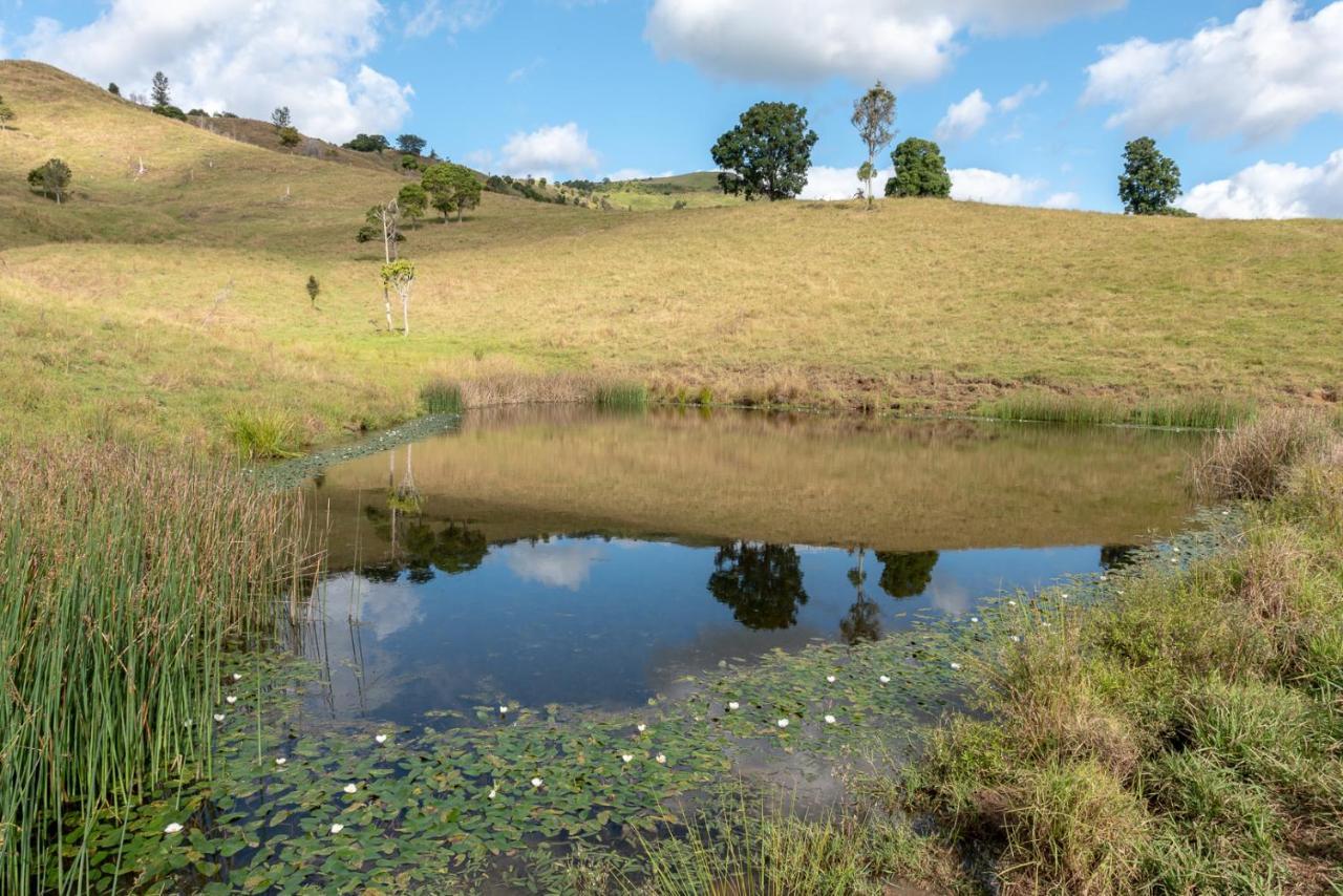 Country Mile Escape Guest House Canungra Exterior photo